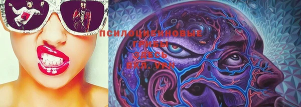 винт Новозыбков