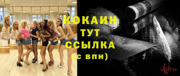 винт Новозыбков