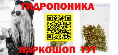 гидропоника Ипатово